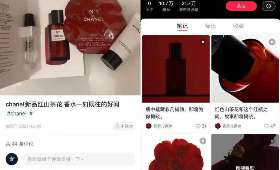 揭秘视频号赚钱新模式,从零开始打造高收益自媒体平台 揭秘视频号赚钱新模式,从零开始打造高收益自媒体平台