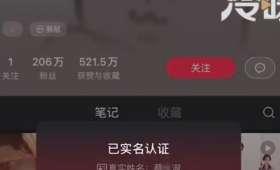 揭秘开封小本项目的投资潜力和未来趋势 揭秘开封小本项目的投资潜力和未来趋势