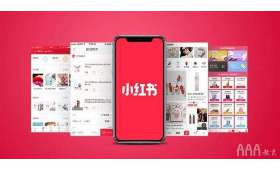 揭秘创业成功秘诀,简单实用的创业方法教程视频 揭秘创业成功秘诀,简单实用的创业方法教程视频